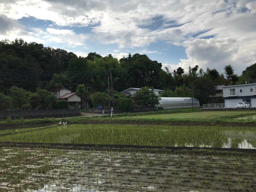 久方ぶりに 写真