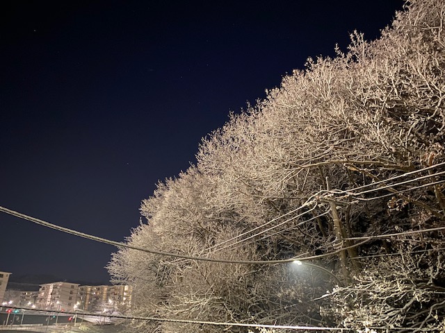 束の間の至福の時 写真