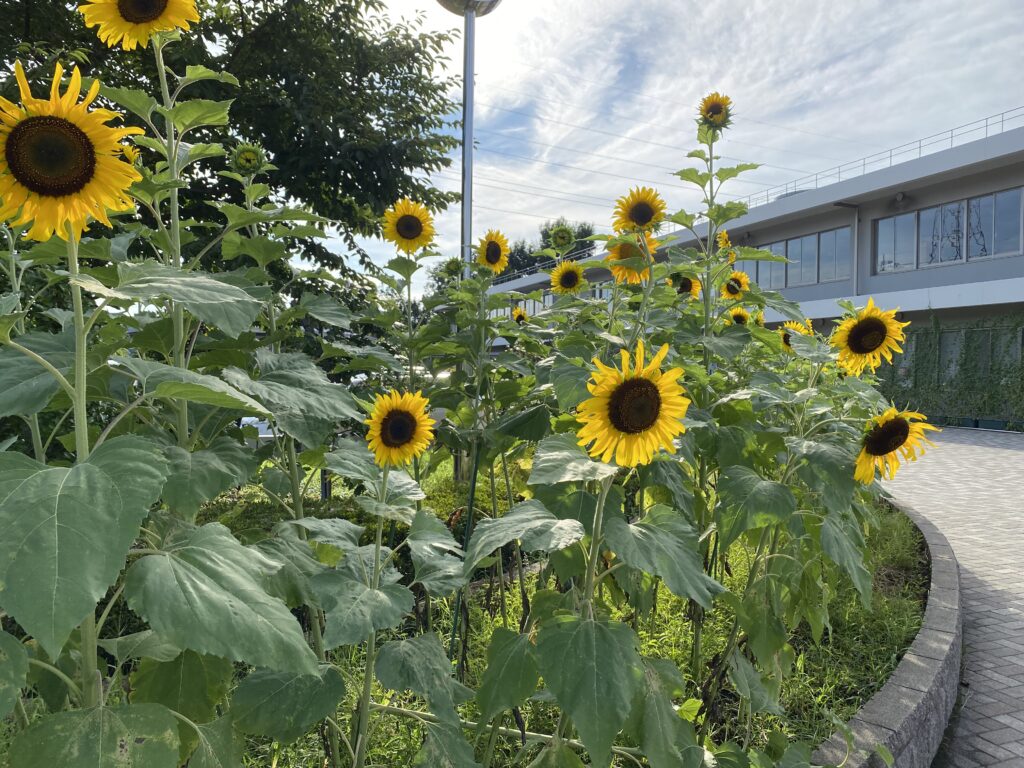 チャレンジ2日目 写真