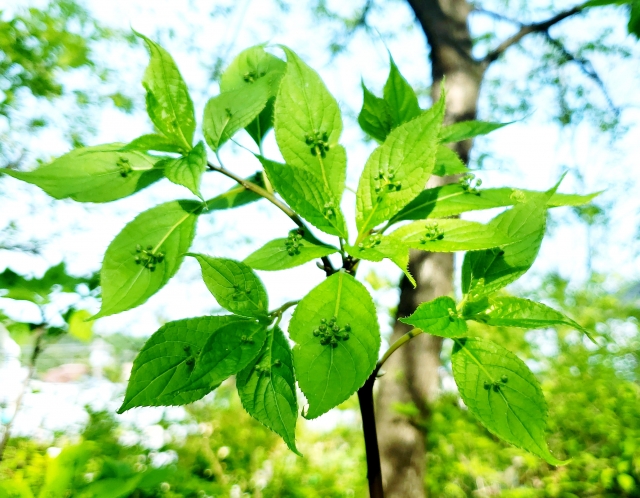 今日の朝礼にて 写真