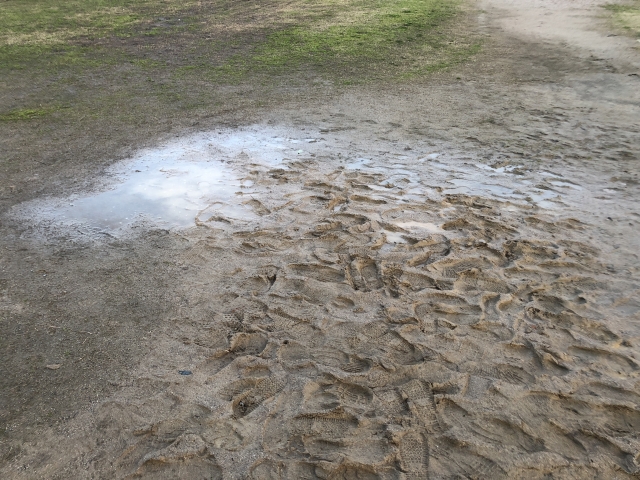 雨降って地固まる 写真