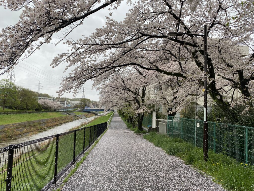 とうとう入学式 写真