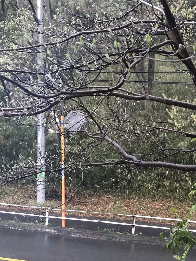 自社を知る機会 写真