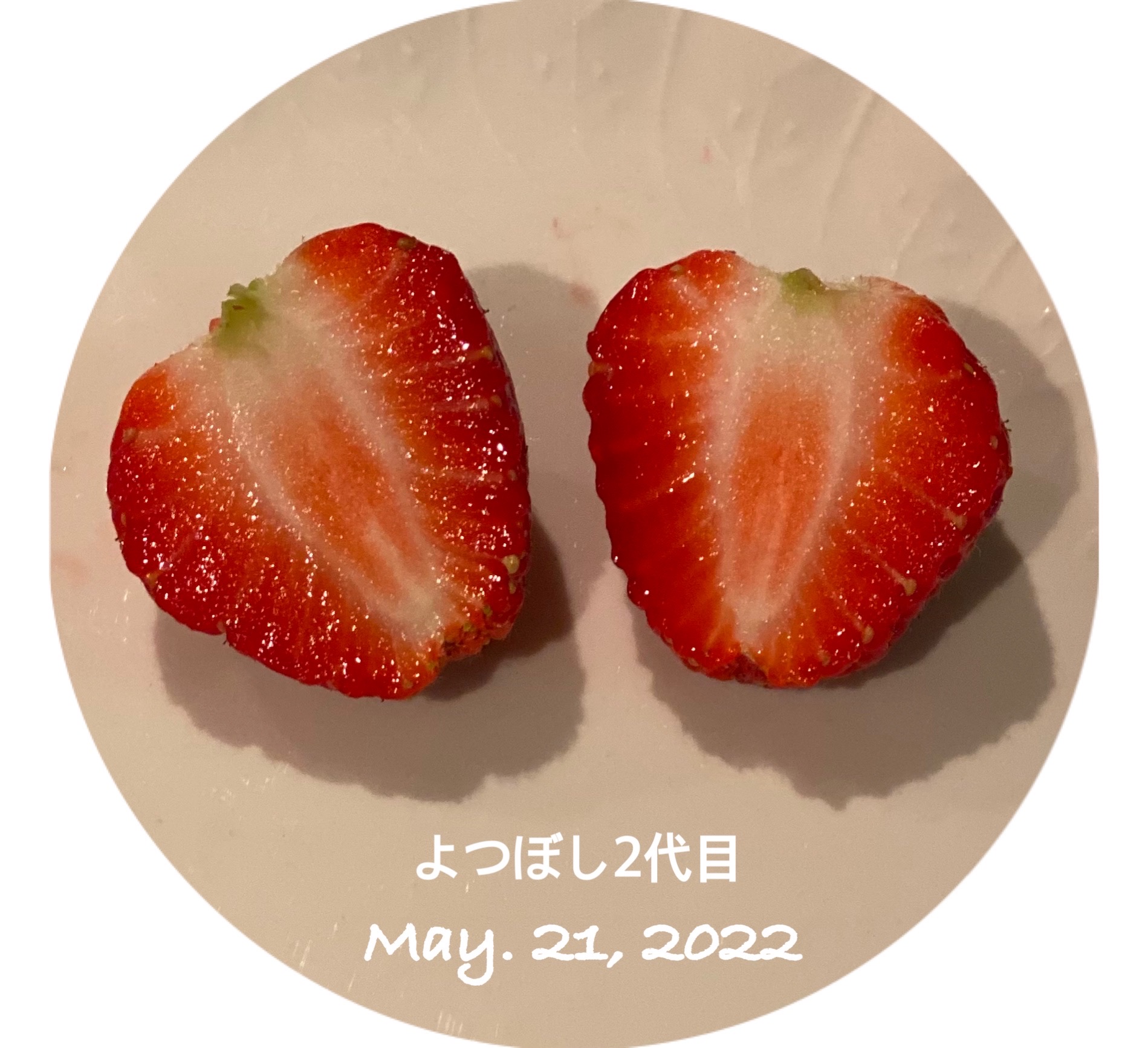 5月 画像