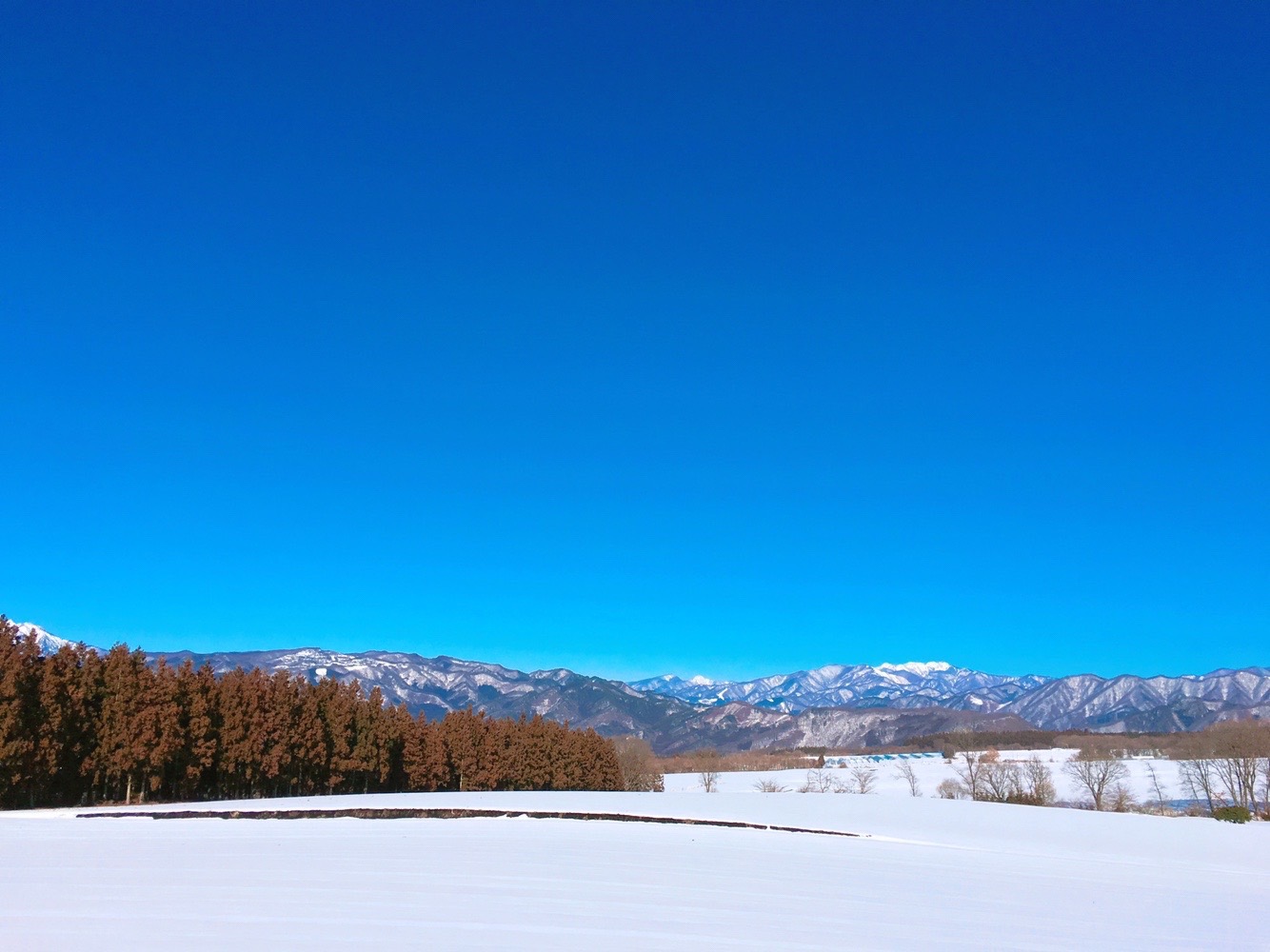 新入社員の山田です！ アイキャッチ画像