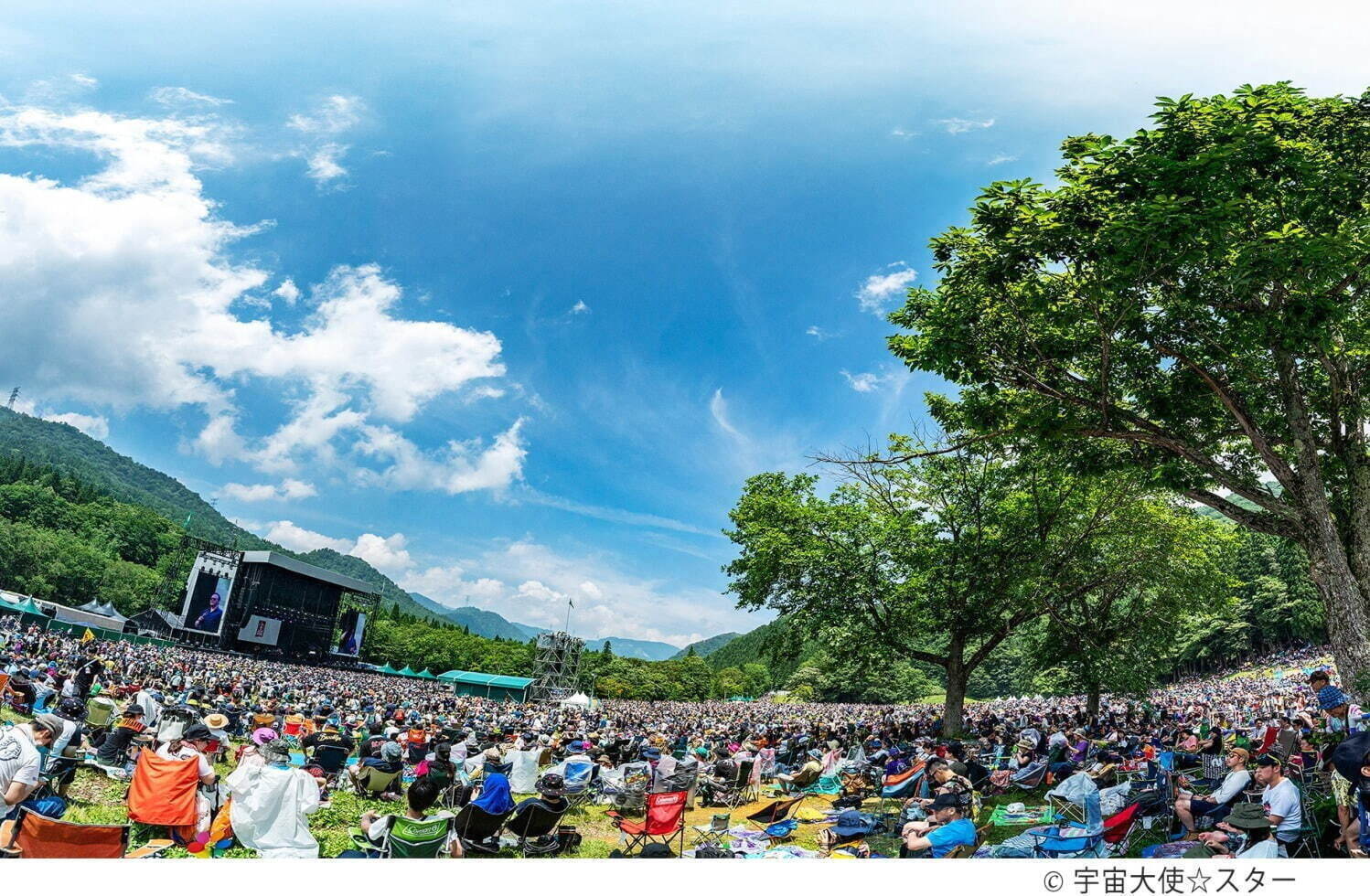 お家で夏フェス気分 画像