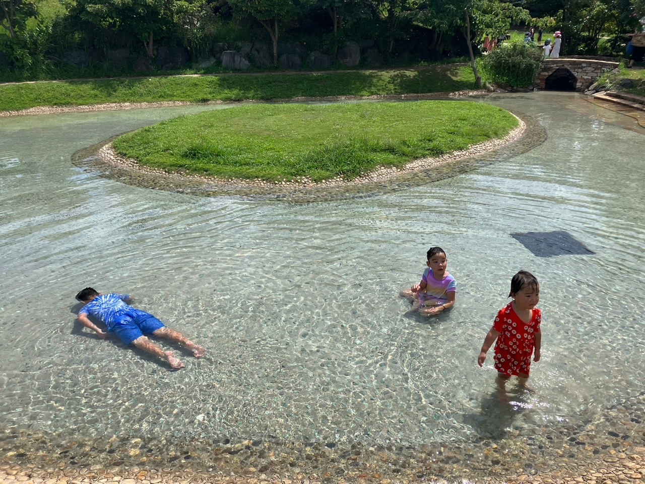 夏の思い出 画像