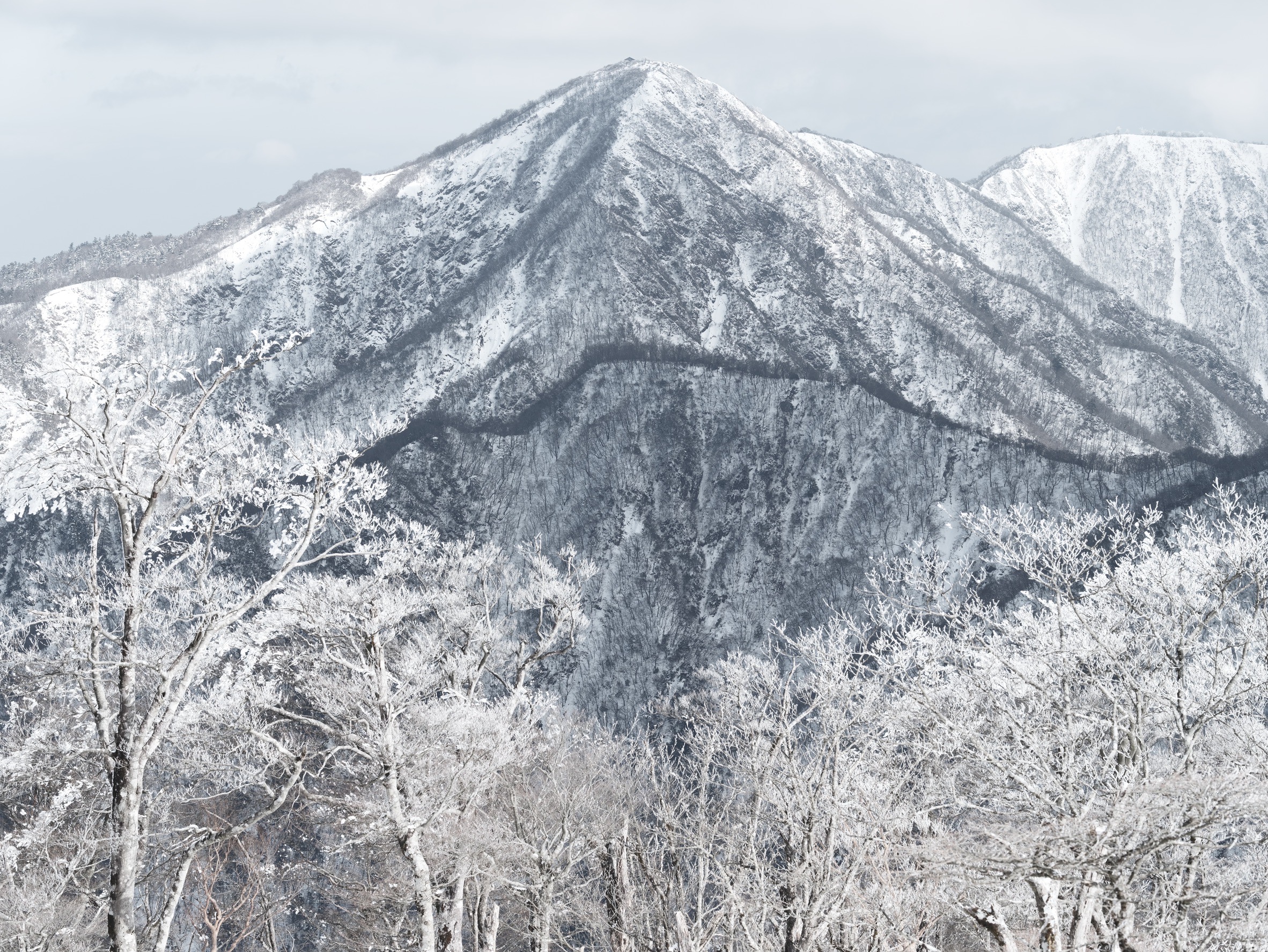 この前の雪 画像