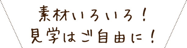 素材いろいろ！見学はご自由に！