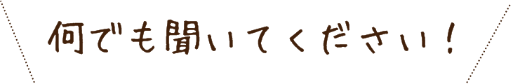 何でも聞いてください！